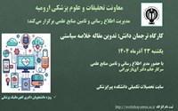 کارگاه تدوین خلاصه سیاستی